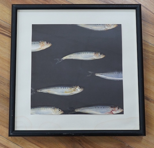 Ewan Fraser (20th.C), photographic print, Man with fish, signed and dated '86, together with an unsigned example, ‘Sardines’, largest 36 x 40cm. Condition - good